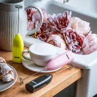 Milk frother manual mesko