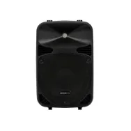 Boxa pasiva 10" 130W, grilaj de protectie negru, Velleman