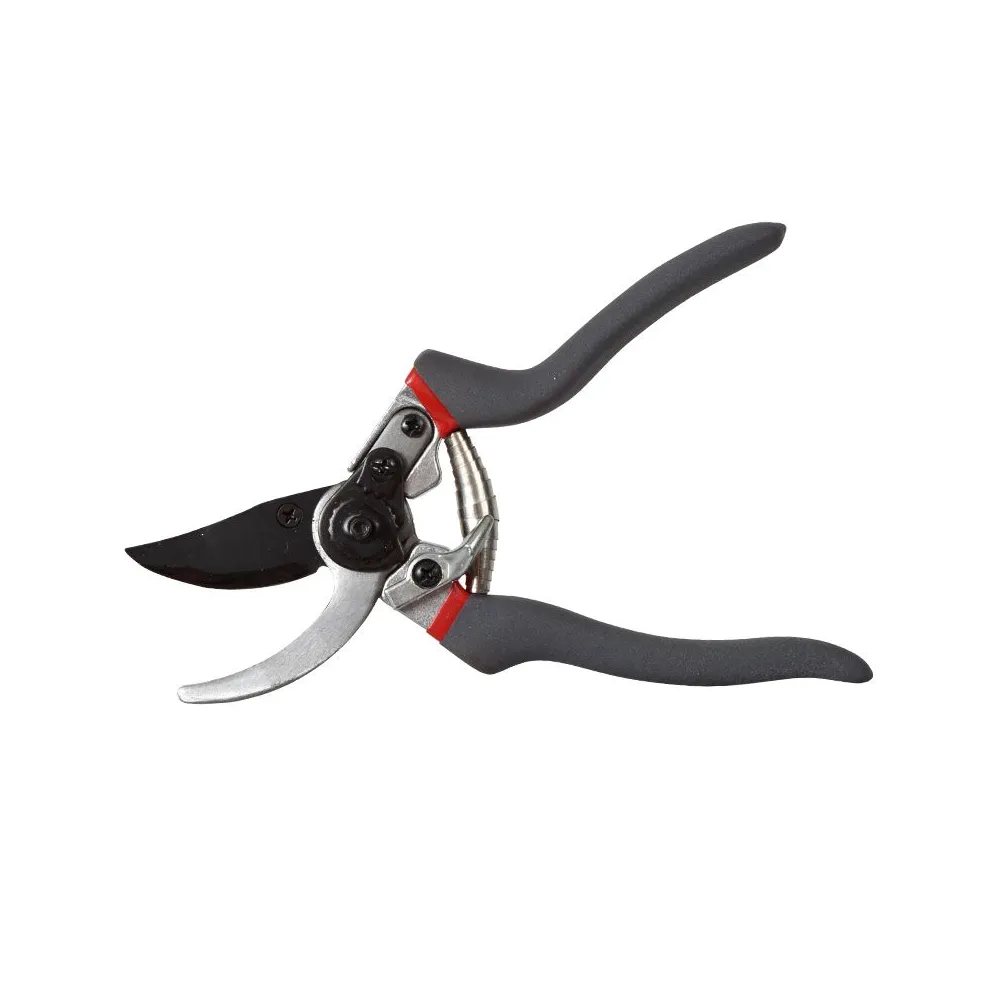 FOARFECA VIE CU LAMELE / 19MM