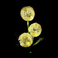 LAMPA LED SOLARA DECORATIVA REBEL