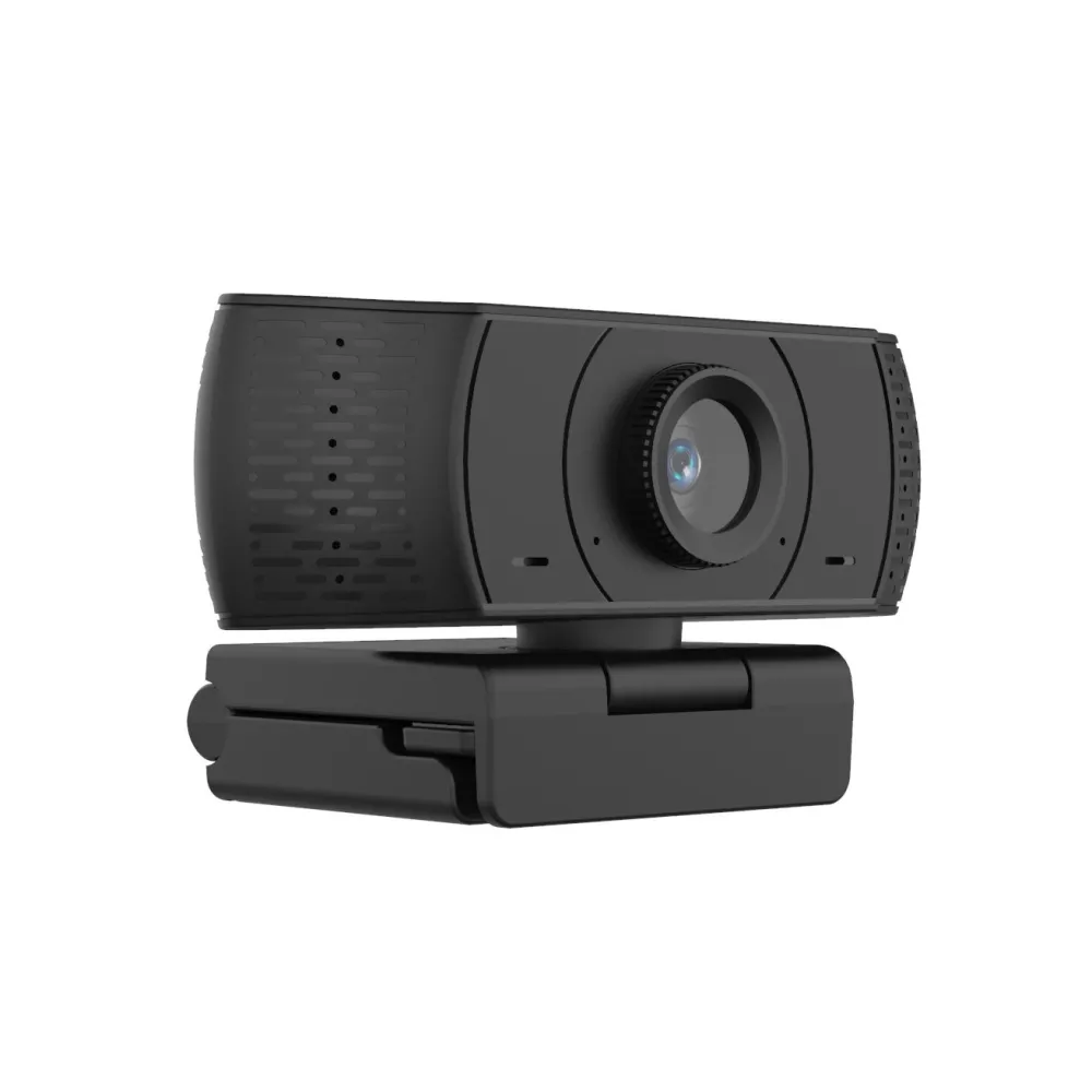 Camera web Well 1080p, cu microfon, resigilat