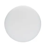 Bosch 1608613013 Disc polizare