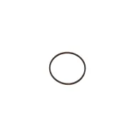 Cabel 6064001 O-Ring (A) pentru CSN-6A