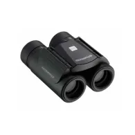 Olympus  10X21 RCII DARK SILVER