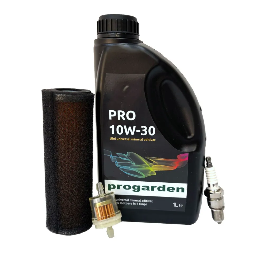 Pachet revizie motor benzina Loncin LC168F-2H