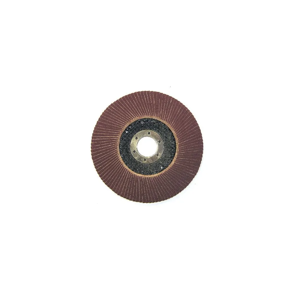 DISC ABRAZIV LAMELAR 125MM - GR.60