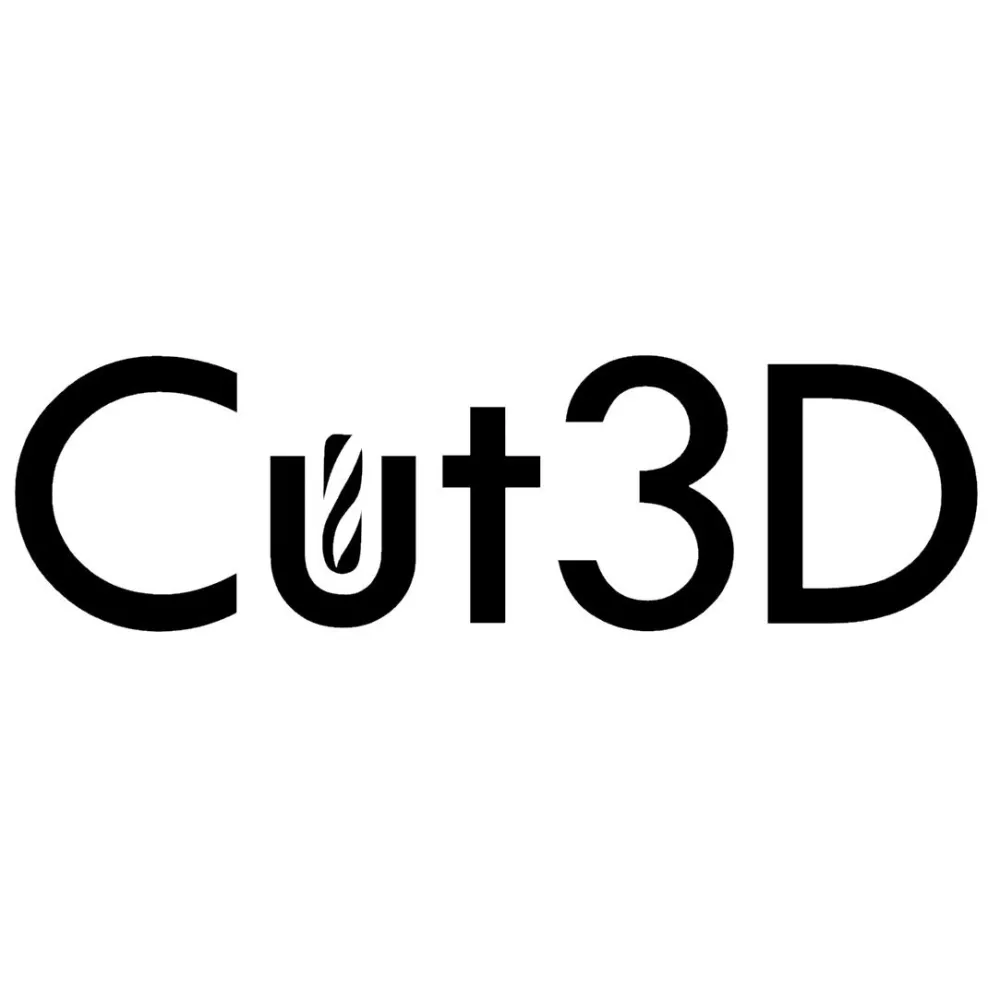 Vectric Cut3D, licenta electronica