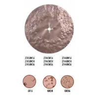 Disc din carbura de tungsten pt. slefuiri placi, Ø450mm, gran. 16 - Raimondi-27445W16