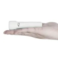 SET 30 LANTERNE 2W ALBE PLATINET