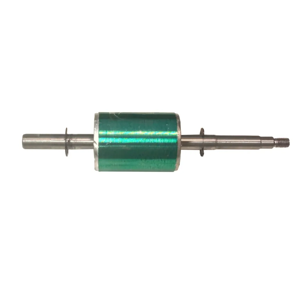 Rotor pompa de suprafata AUJET100 750W