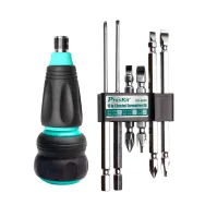 Set surubelnita cu clichet 10 în 1 ProsKit