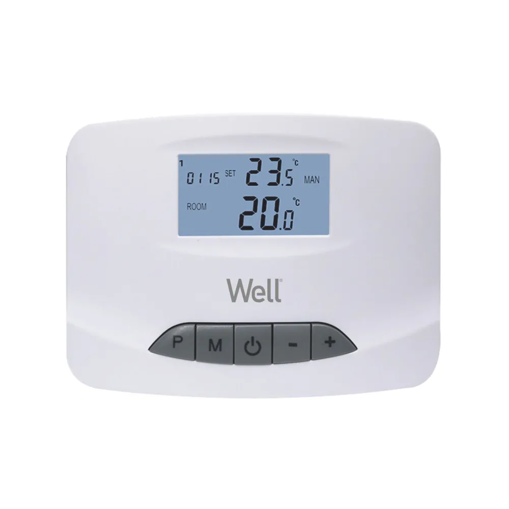 Termostat digital programabil cu fir, afisaj digital Well