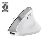 Trust Bayo+ mouse-uri Birou Mâna dreaptă RF Wireless + Bluetooth Optice 2400 DPI