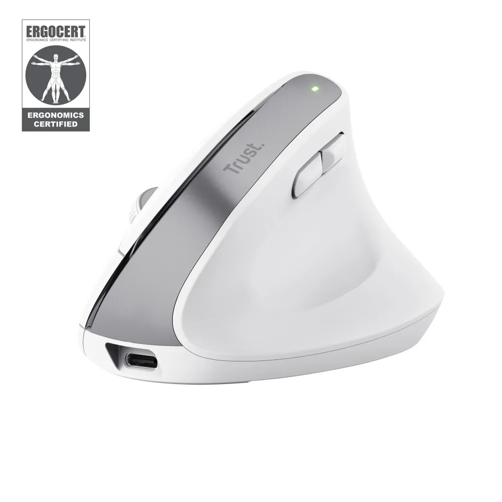 Trust Bayo+ mouse-uri Birou Mâna dreaptă RF Wireless + Bluetooth Optice 2400 DPI