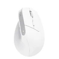 Trust Bayo+ mouse-uri Birou Mâna dreaptă RF Wireless + Bluetooth Optice 2400 DPI