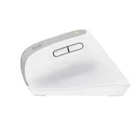 Trust Bayo+ mouse-uri Birou Mâna dreaptă RF Wireless + Bluetooth Optice 2400 DPI