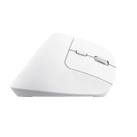 Trust Bayo+ mouse-uri Birou Mâna dreaptă RF Wireless + Bluetooth Optice 2400 DPI