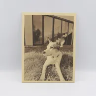 OPT Lasers 001726 Kit Stepcraft laser complet, cu PLH3D-6W-XF+