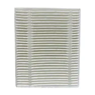 Filtru HEPA pentru Roidmi EVE CC