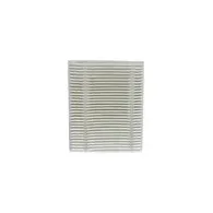 Filtru HEPA pentru Roidmi EVE CC