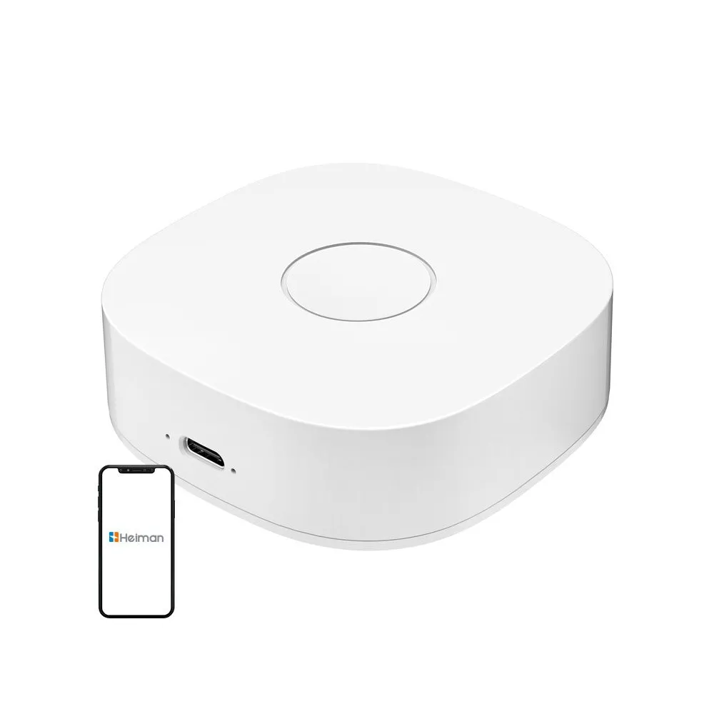 Casă inteligentă WS2GW-R WiFi