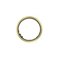 Smartring Colmi R06 19.8MM 10 (Aur)