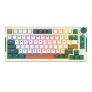 Royal Kludge RKH81 RGB Tastatura mecanică fără fir, comutator Sky cyan (verde) (QWERTY)