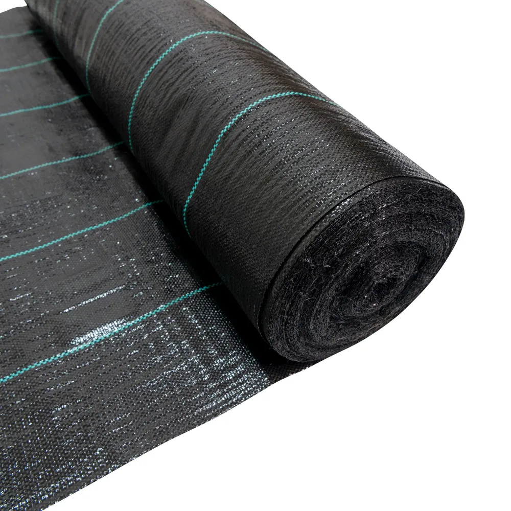 Folie agrotextila RURIS 100200