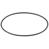 REMS O-ring 060304
