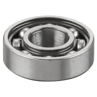 REMS Rulment-6001 057005