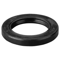 REMS Semering 060309