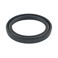 REMS Semering 060310