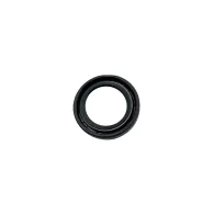 REMS Semering 060312