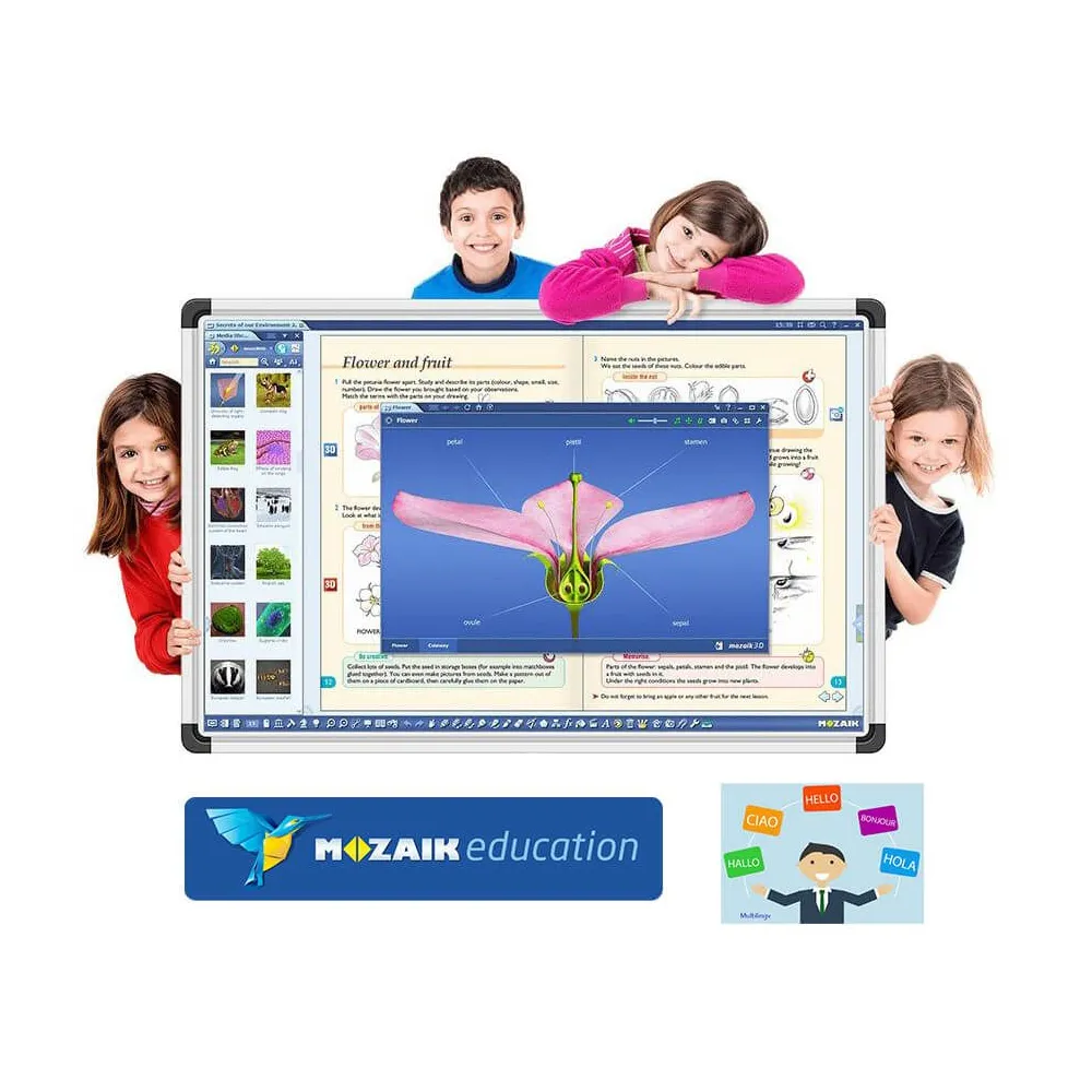 Software Mozabook MULTILANG , lectii interactive in timp real, licenta 1 / 3 ani