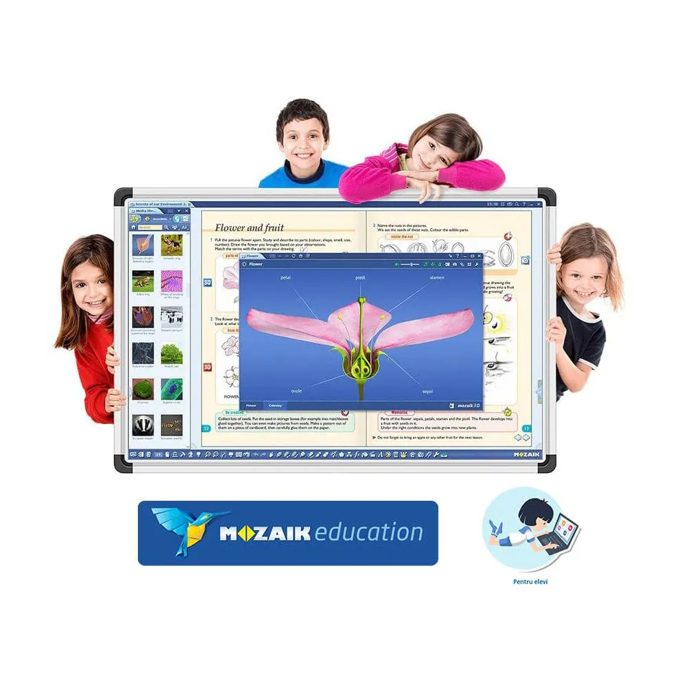 Software Mozaik Student , lectii interactive in timp real, licenta 1 / 3 ani