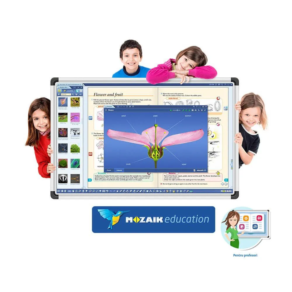 Software Mozaik Teacher , lectii interactive in timp real, licenta 1 / 3 ani