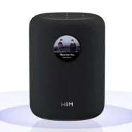 Boxa activa WiiM Sound cu ecran touch, 100W, negru