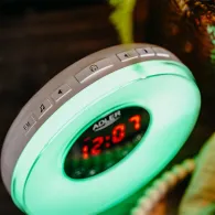 CEAS DESTEPTATOR ALARMA FM RADIO