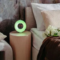 CEAS DESTEPTATOR ALARMA FM RADIO