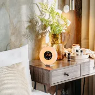 CEAS DESTEPTATOR ALARMA FM RADIO